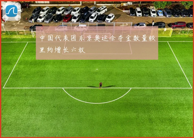 中国代表团东京奥运会夺金数量较里约增长六枚