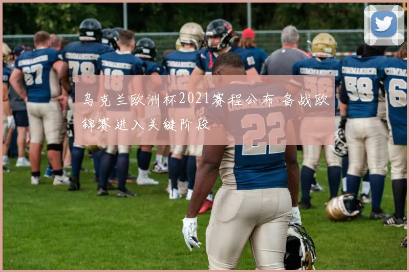 乌克兰欧洲杯2021赛程公布 备战欧锦赛进入关键阶段
