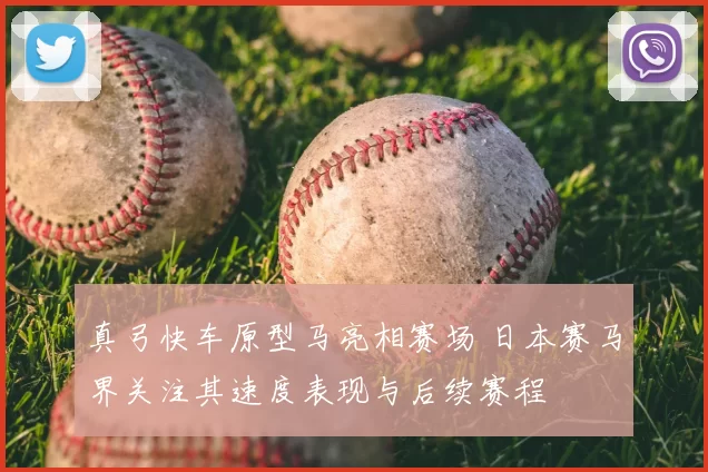 真弓快车原型马亮相赛场 日本赛马界关注其速度表现与后续赛程