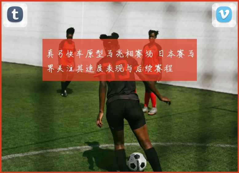 真弓快车原型马亮相赛场 日本赛马界关注其速度表现与后续赛程