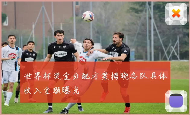 世界杯奖金分配方案揭晓各队具体收入金额曝光