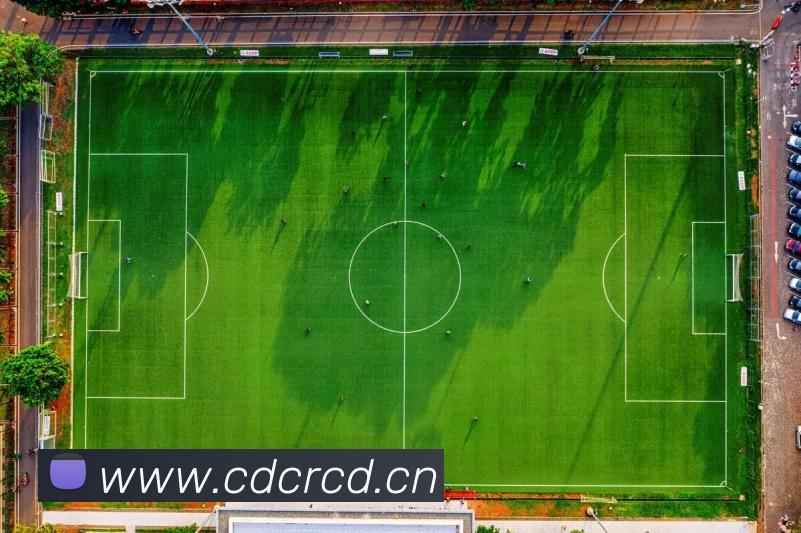 乐鱼官网app登录入口 - 乐鱼(中国)发展历程