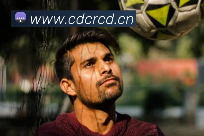 奖项证书